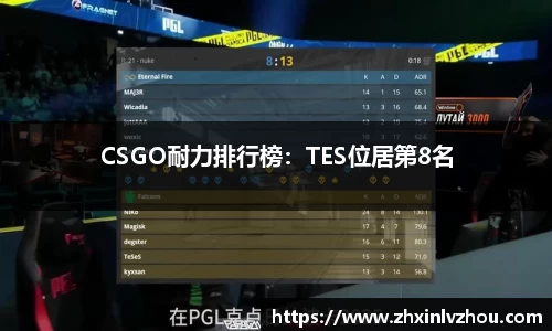 CSGO耐力排行榜：TES位居第8名